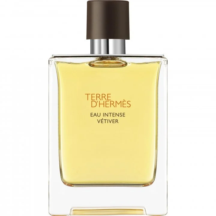 Hermès Terre d’Hermès Eau Intense Vétiver Eau de Parfum 100 ml